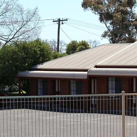 Bendigo Haymarket Motor Inn Buitenkant foto